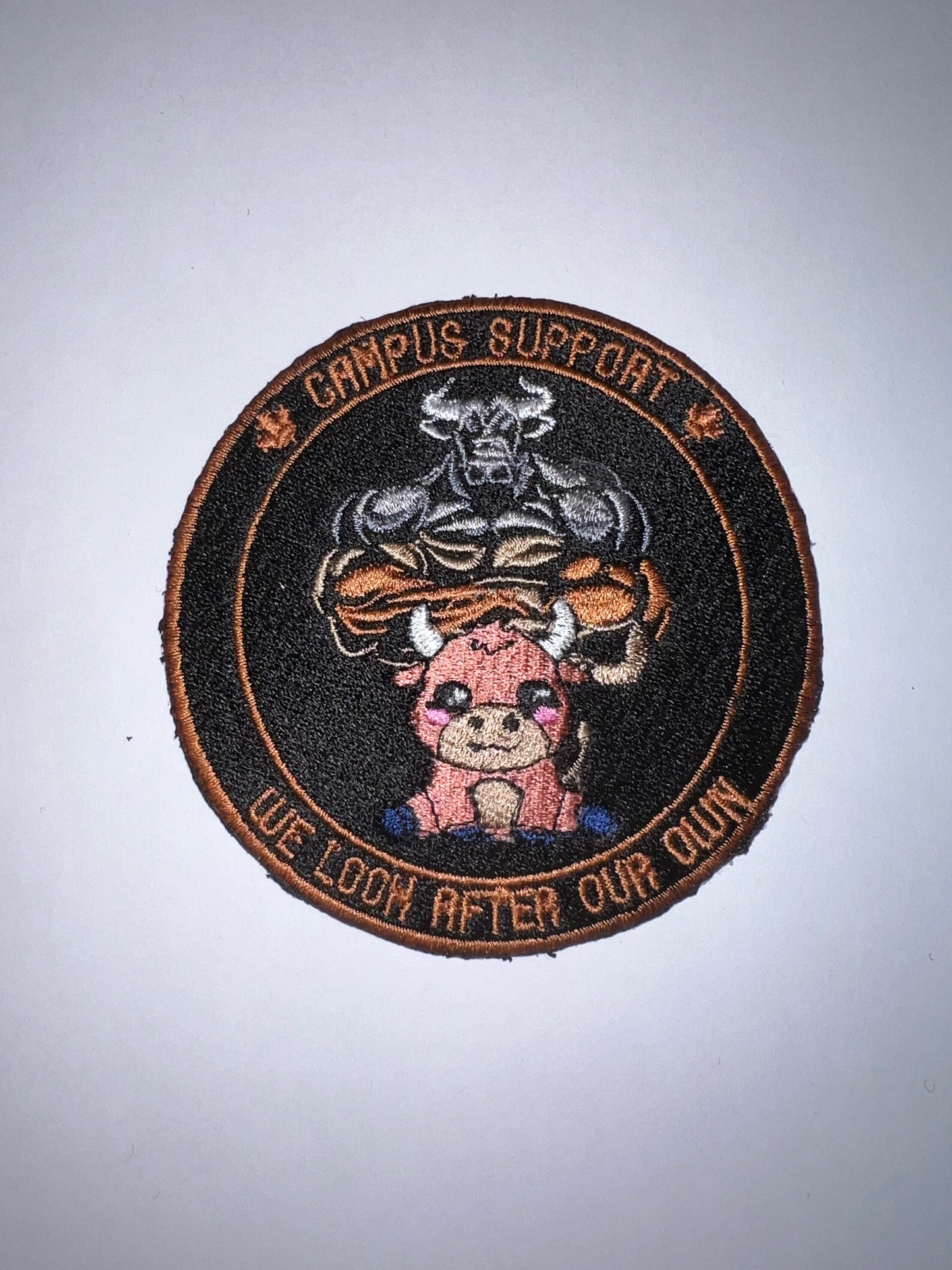 Campus Support Patch